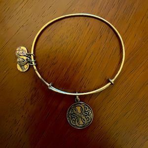 Alex and Ani charm bracelet